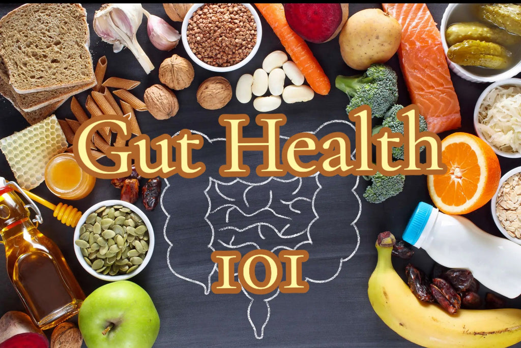 Gut Health 101