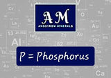 phosphorus supplement for humans